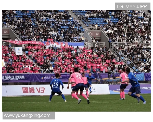 足球世界杯观众观赛体验及未来趋势