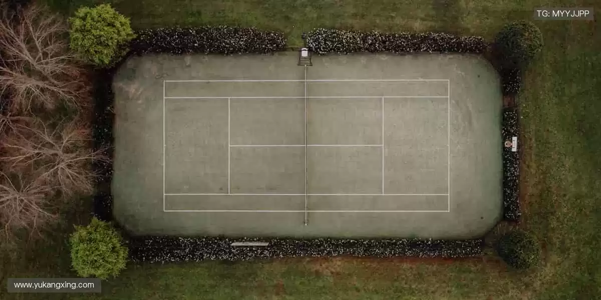 👑冠军同款,把胜利带回家!🏅